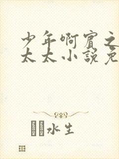 少年啊宾之房东太太小说免费阅读