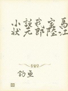 小说我家马夫是状元郎陆江来封面