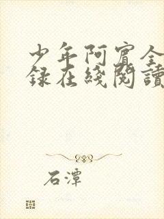 少年阿宾全文目录在线阅读