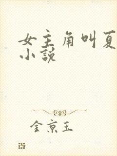 女主角叫夏琪的小说