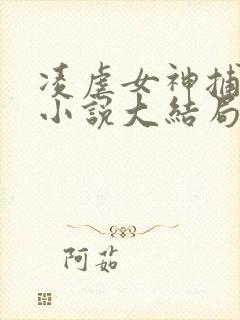 凌虐女神捕林醉小说大结局