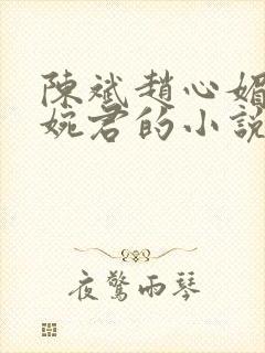 陈斌赵心媚和高婉君的小说