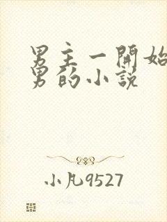 男主一开始是渣男的小说