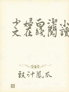 少妇白洁小说全文在线阅读封面