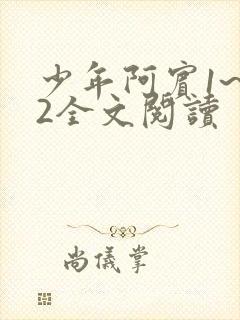 少年阿宾1~72全文阅读