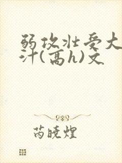 弱攻壮受大胸奶汁(高h)文