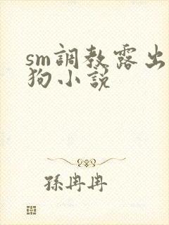 sm调教露出母狗小说封面