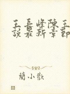 王长峰陈玉娇小说最新章节更新时间表