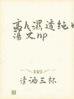 高h湿透纯肉放荡文np封面