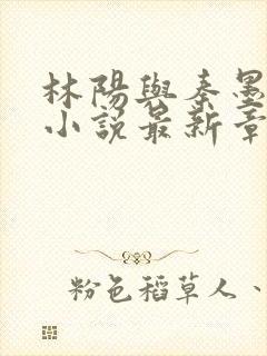 林阳与秦墨浓的小说最新章节封面