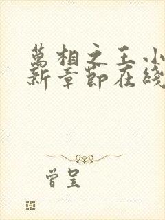 万相之王小说最新章节在线