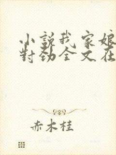 小说我家娘子不对劲全文在线阅读封面