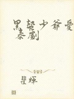 黑帮少爷爱上我 泰剧