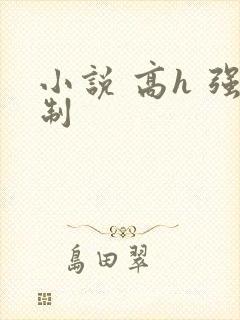 小说 高h 强制封面