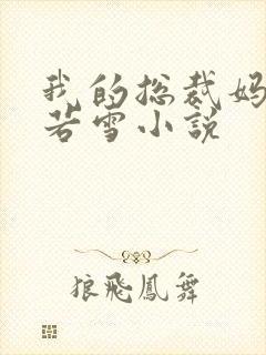 我的总裁妈妈王若雪小说