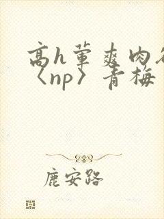 高h荤爽肉欲文〈np〉青梅