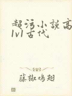 超污小说高h 1v1古代