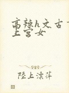 高辣h文古言皇上宫女