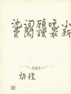 沈洵顾晚小说免费阅读最新章节