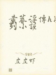 黄蓉淫传h版系列小说