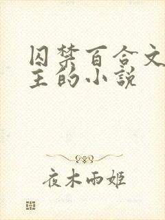 囚禁百合文双女主的小说