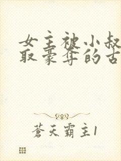 女主被小叔子强取豪夺的古言封面