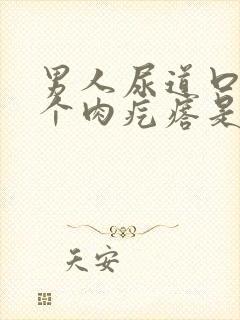男人尿道口长了个肉疙瘩是怎么回事封面