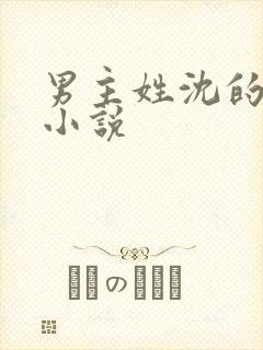 男主姓沈的现代小说