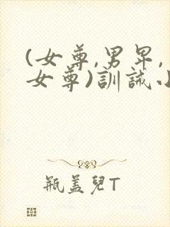 (女尊,男卑,女尊)训诫小说封面