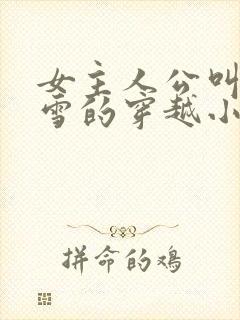 女主人公叫慕容雪的穿越小说封面