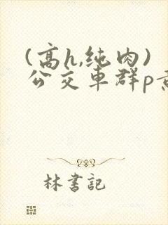 (高h,纯肉)公交车群p黄文