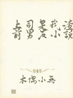 上司是我渣过的前男友小说免费阅读封面