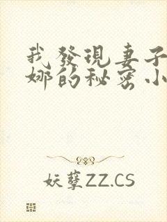 我发现妻子陈安娜的秘密小说封面