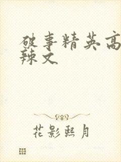 破事精英高h肉辣文