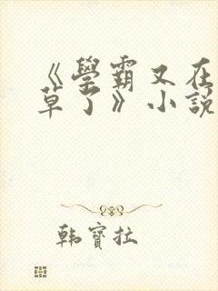 《学霸又在哄校草了》小说