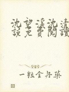 沈望溪沈清若小说免费阅读最新章节