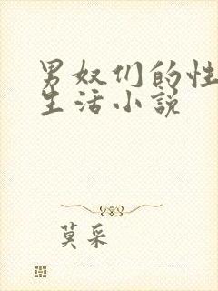 男奴们的性调教生活小说