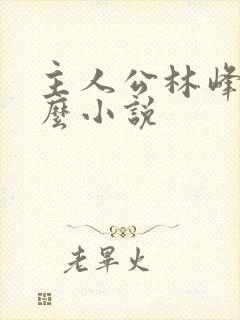 主人公林峰是什么小说