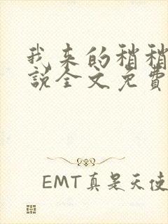 我来的稍稍迟小说全文免费阅读封面