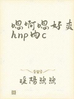嗯啊嗯好爽啊高hnp肉c