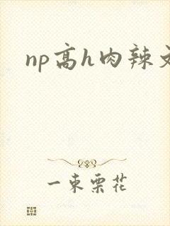 np高h肉辣文