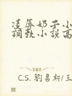 凌辱奶子小说上调教小说高h