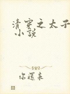 清穿之太子娇妃 小说