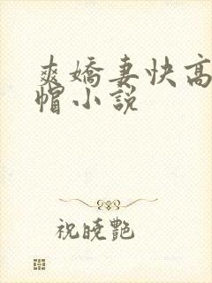 爽娇妻快高h绿帽小说