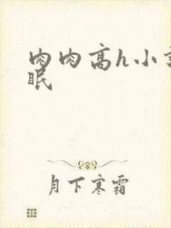 肉肉高h小说催眠