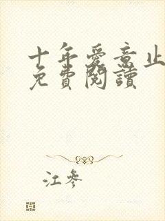 十年爱意止小说免费阅读封面