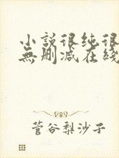 小说很纯很暧昧无删减在线阅读