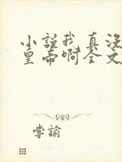 小说我真没想当皇帝啊全文封面