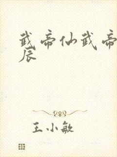 武帝仙武帝尊叶辰