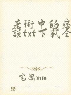 老街中的痞子小说txt下载全集